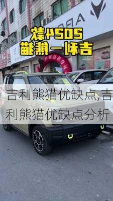 吉利熊猫优缺点,吉利熊猫优缺点分析