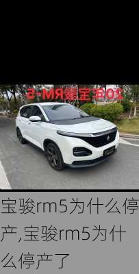 宝骏rm5为什么停产,宝骏rm5为什么停产了