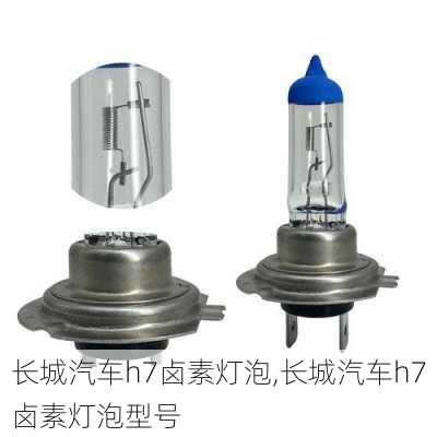 长城汽车h7卤素灯泡,长城汽车h7卤素灯泡型号