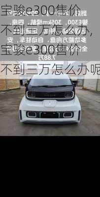宝骏e300售价不到三万怎么办,宝骏e300售价不到三万怎么办呢