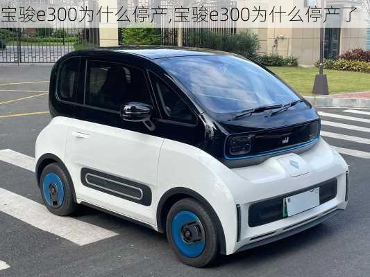 宝骏e300为什么停产,宝骏e300为什么停产了
