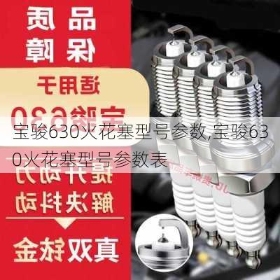 宝骏630火花塞型号参数,宝骏630火花塞型号参数表