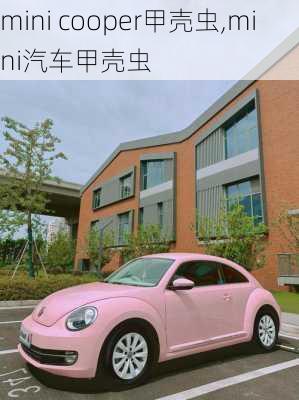 mini cooper甲壳虫,mini汽车甲壳虫