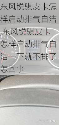 东风锐骐皮卡怎样启动排气自洁,东风锐骐皮卡怎样启动排气自洁一下就不排了怎回事
