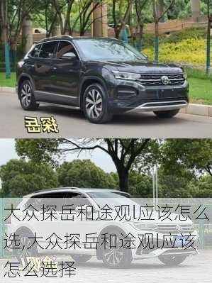 大众探岳和途观l应该怎么选,大众探岳和途观l应该怎么选择
