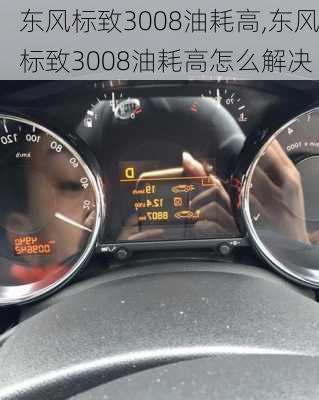 东风标致3008油耗高,东风标致3008油耗高怎么解决