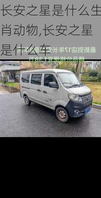 长安之星是什么生肖动物,长安之星是什么车