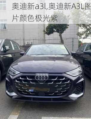 奥迪新a3l,奥迪新A3L图片颜色极光紫