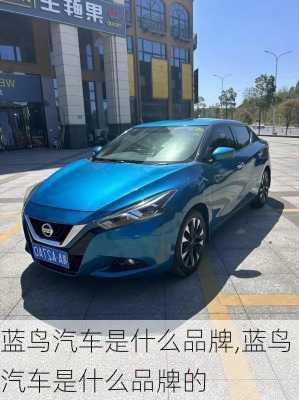蓝鸟汽车是什么品牌,蓝鸟汽车是什么品牌的