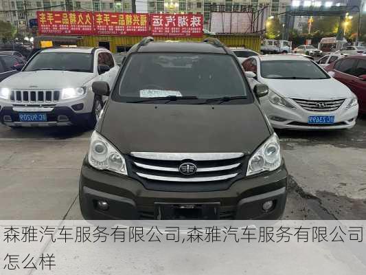 森雅汽车服务有限公司,森雅汽车服务有限公司怎么样