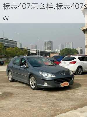 标志407怎么样,标志407sw