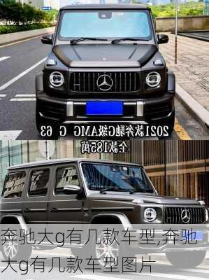 奔驰大g有几款车型,奔驰大g有几款车型图片