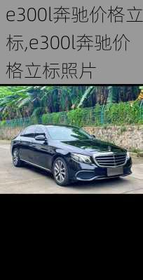 e300l奔驰价格立标,e300l奔驰价格立标照片
