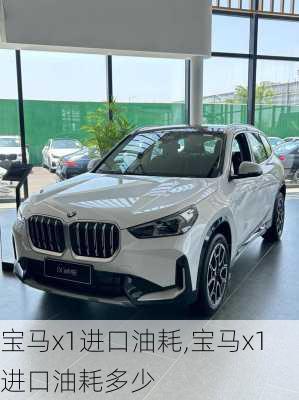 宝马x1进口油耗,宝马x1进口油耗多少