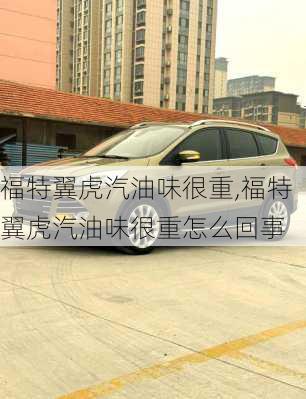 福特翼虎汽油味很重,福特翼虎汽油味很重怎么回事