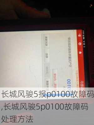 长城风骏5报p0100故障码,长城风骏5p0100故障码处理方法