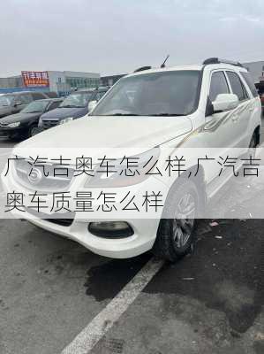 广汽吉奥车怎么样,广汽吉奥车质量怎么样