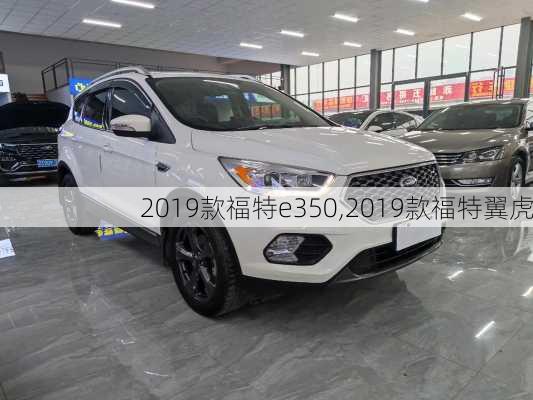 2019款福特e350,2019款福特翼虎