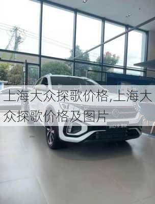 上海大众探歌价格,上海大众探歌价格及图片