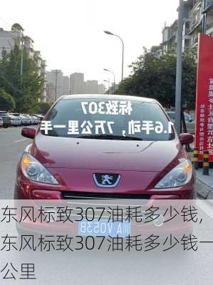 东风标致307油耗多少钱,东风标致307油耗多少钱一公里