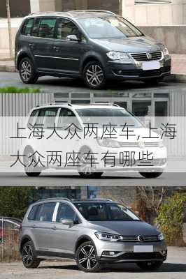 上海大众两座车,上海大众两座车有哪些