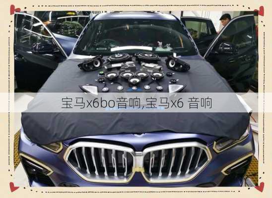 宝马x6bo音响,宝马x6 音响