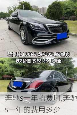 奔驰s一年的费用,奔驰s一年的费用多少