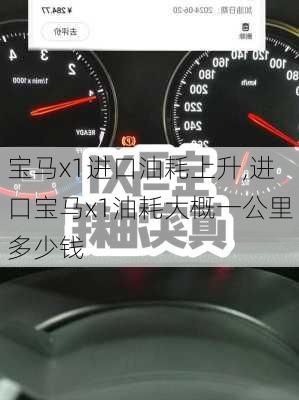 宝马x1进口油耗上升,进口宝马x1油耗大概一公里多少钱