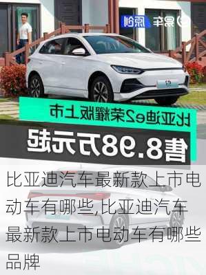比亚迪汽车最新款上市电动车有哪些,比亚迪汽车最新款上市电动车有哪些品牌