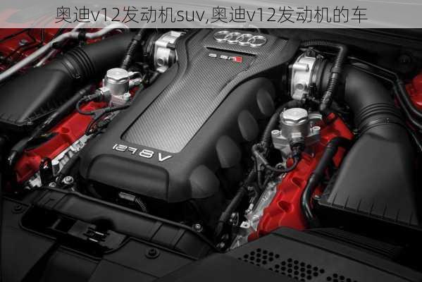 奥迪v12发动机suv,奥迪v12发动机的车
