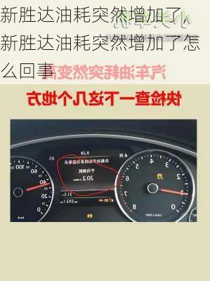 新胜达油耗突然增加了,新胜达油耗突然增加了怎么回事