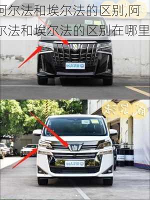 阿尔法和埃尔法的区别,阿尔法和埃尔法的区别在哪里