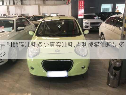 吉利熊猫油耗多少真实油耗,吉利熊猫油耗是多少