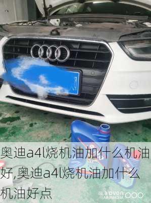 奥迪a4l烧机油加什么机油好,奥迪a4l烧机油加什么机油好点