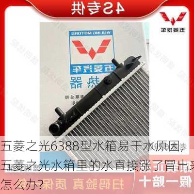 五菱之光6388型水箱易干水原因,五菱之光水箱里的水直接涨了冒出来,怎么办?