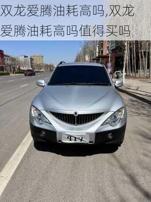 双龙爱腾油耗高吗,双龙爱腾油耗高吗值得买吗