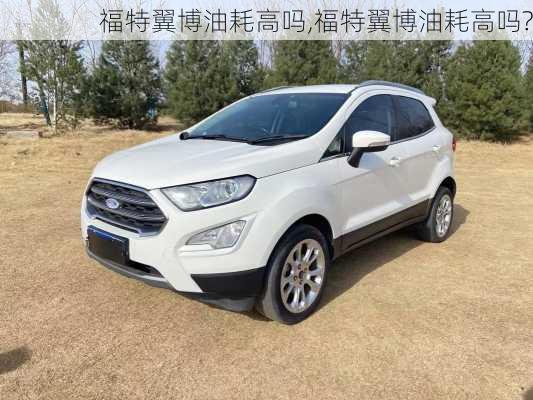 福特翼博油耗高吗,福特翼博油耗高吗?