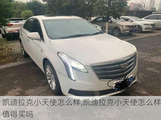 凯迪拉克小天使怎么样,凯迪拉克小天使怎么样值得买吗