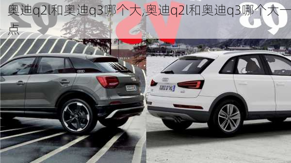 奥迪q2l和奥迪q3哪个大,奥迪q2l和奥迪q3哪个大一点
