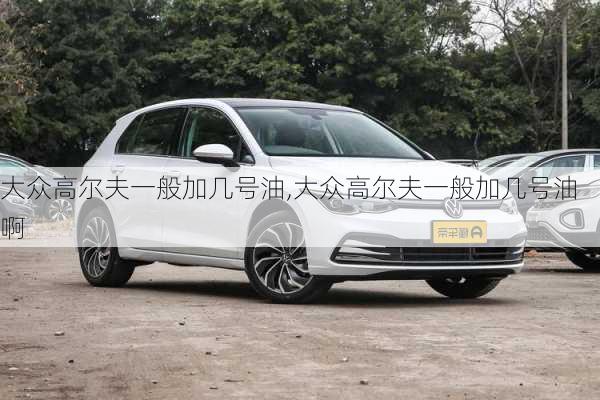 大众高尔夫一般加几号油,大众高尔夫一般加几号油啊