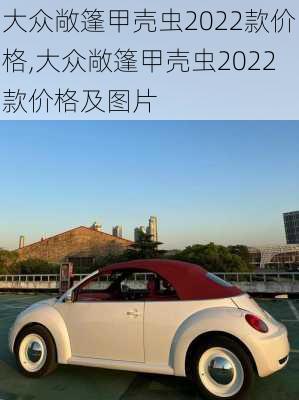 大众敞篷甲壳虫2022款价格,大众敞篷甲壳虫2022款价格及图片