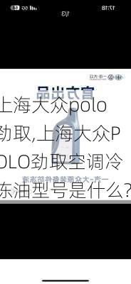 上海大众polo劲取,上海大众POLO劲取空调冷冻油型号是什么?