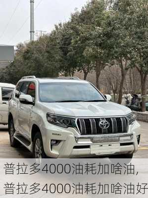 普拉多4000油耗加啥油,普拉多4000油耗加啥油好