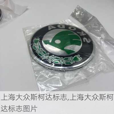 上海大众斯柯达标志,上海大众斯柯达标志图片