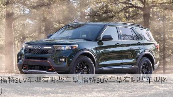 福特suv车型有哪些车型,福特suv车型有哪些车型图片