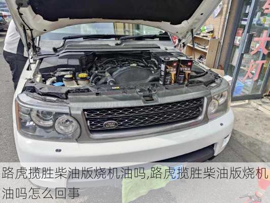 路虎揽胜柴油版烧机油吗,路虎揽胜柴油版烧机油吗怎么回事
