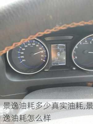 景逸油耗多少真实油耗,景逸油耗怎么样