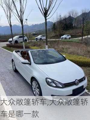 大众敞篷轿车,大众敞篷轿车是哪一款