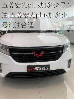 五菱宏光plus加多少号汽油,五菱宏光plus加多少号汽油合适