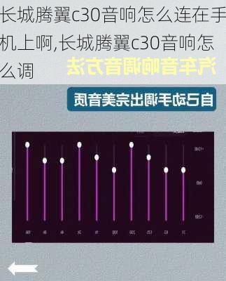 长城腾翼c30音响怎么连在手机上啊,长城腾翼c30音响怎么调